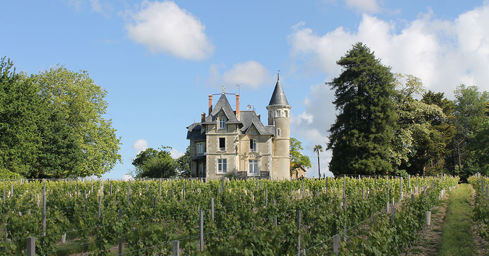 VIGNOBLE-Chateau-la-Breduriere-Vin-de-Mareuil