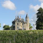 VIGNOBLE-Chateau-la-Breduriere-Vin-de-Mareuil